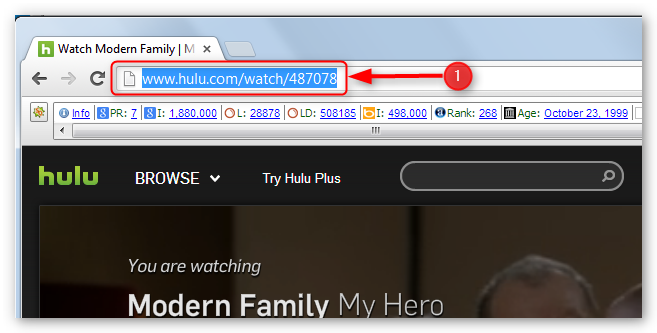 how-to-use-free-hulu-downloader-step-1