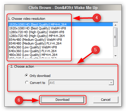 how-to-download-videos-from-youtube-step-3